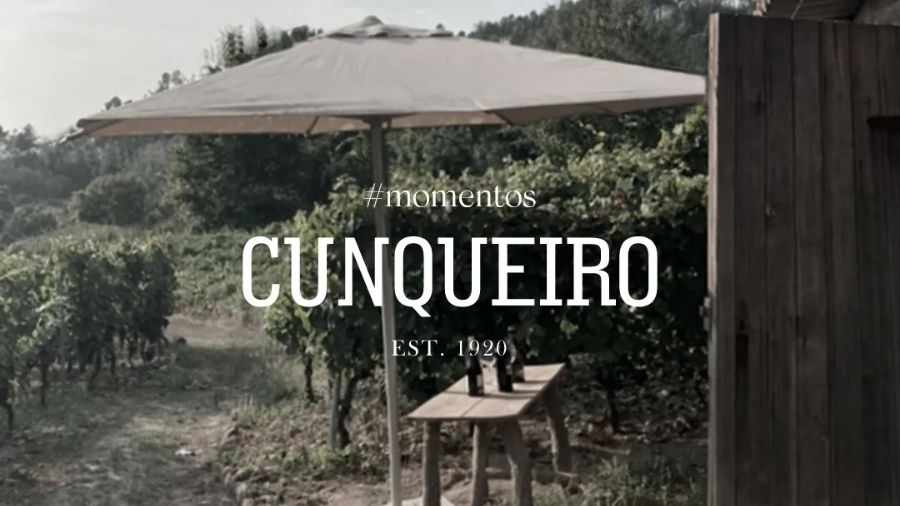 Bodegas Cunqueiro winery and surrounding vineyards in the Ribeiro appellation, Galicia