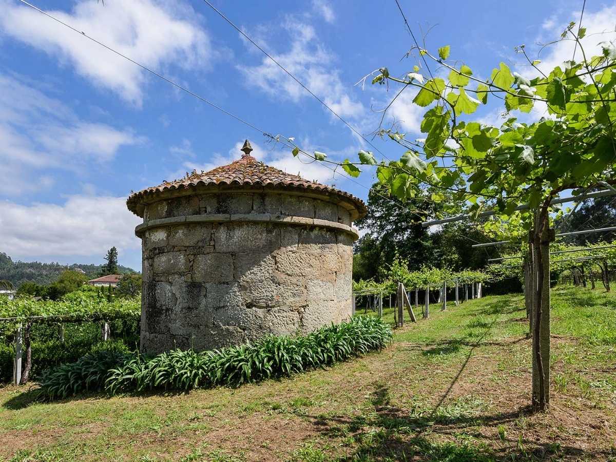 Granite-walled vineyards in the Rías Baixas, looking out over the Atlantic-facing hills of Galicia